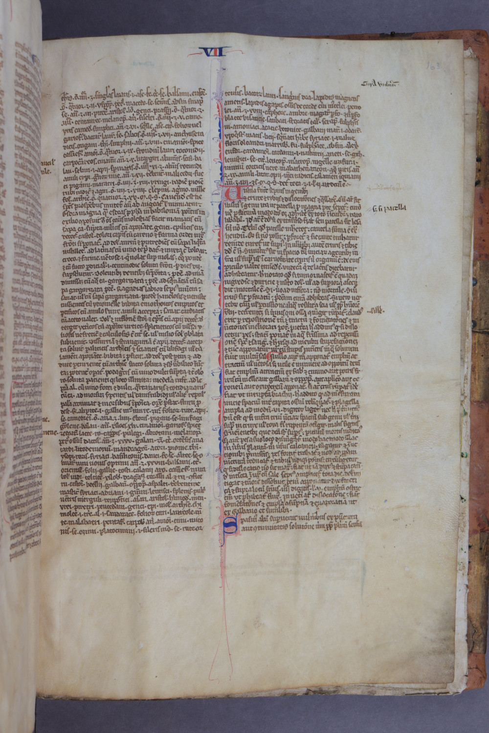 Folio 163 recto